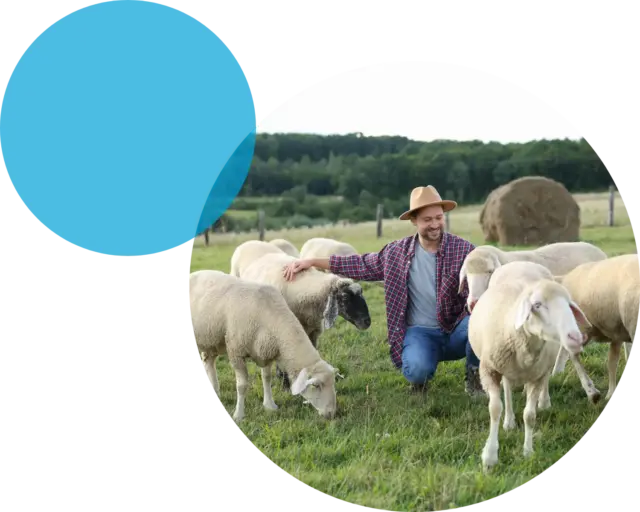 Ein Mann mit Hut kniet auf einer Wiese, lächelt und streichelt Schafe, im Hintergrund sind Bäume und Heuballen zu sehen – eine einladende Szene, die die zugängliche Atmosphäre eines Rhetoriktrainings für Fach- und Führungskräfte vermittelt. In der linken oberen Ecke sind blaue grafische Kreise zu sehen.